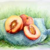 Персики на траве