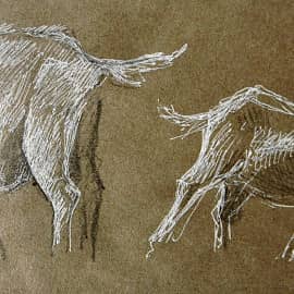 Хвостики. Козы