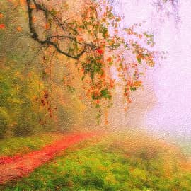 Цветные туманы.