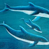 Семья дельфинов