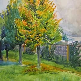 Гнилая аллея