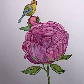 Пион и птичка