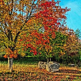 осенняя дорога.2