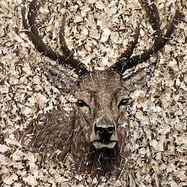 Лесной олень