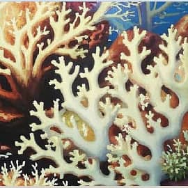 Белые кораллы