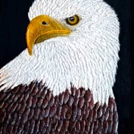 Белоголовый орлан