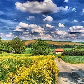 Дорога к дому.