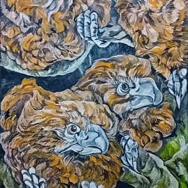 птицы ночью