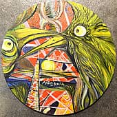 Птицы дома. #MARSKOLLA