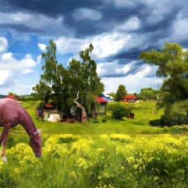 Пасмурный день