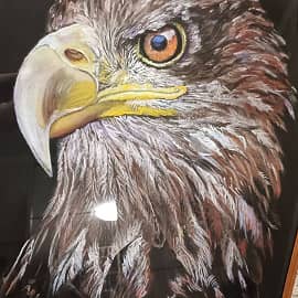 Король неба