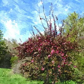 Весенняя акварель.