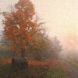 по дороге на закат