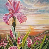 Ирисы на закате