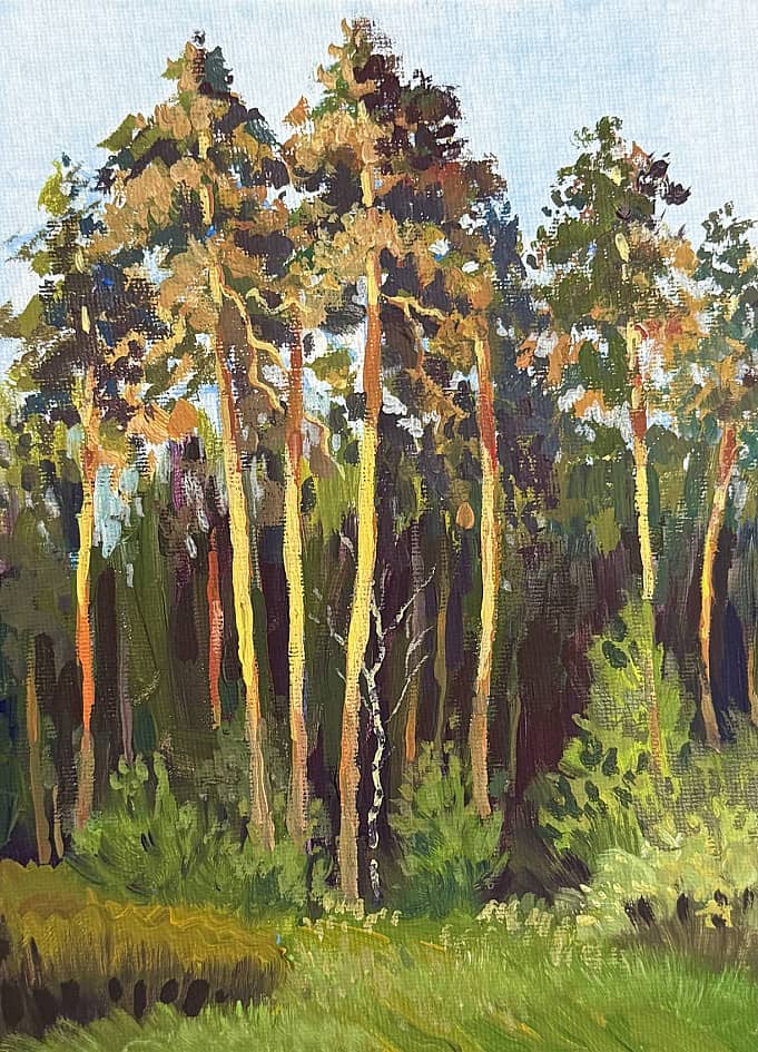 Теплый вечер