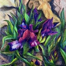 Ирисы в камнях