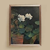 Белая пеларгония (1), художник Елена Сергеевна