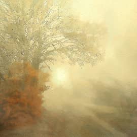 зимний туман