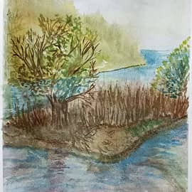 Плавучий остров