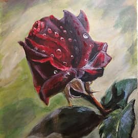 Бордовая роза