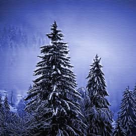 Зимний пейзаж 03