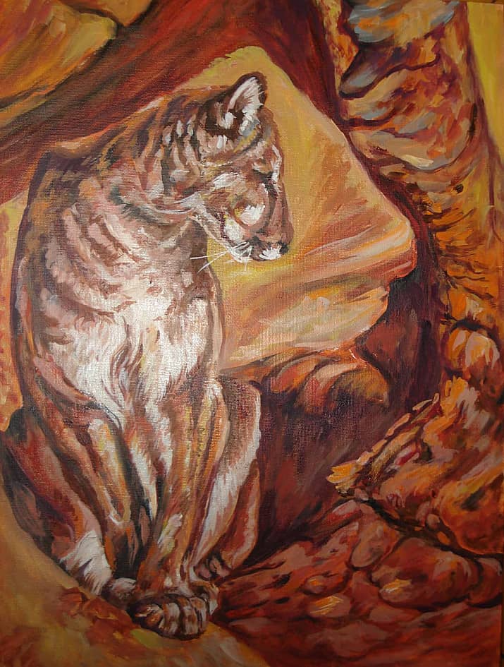 Из рода кошачьих.Пума.