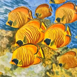 Жёлтая стайка