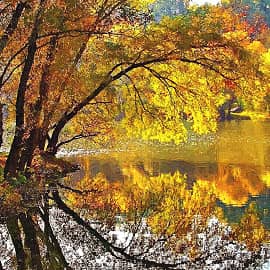 в зеркале вод
