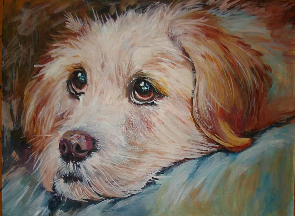 Жду хозяина. Грустно одному.