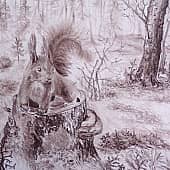 В Усинском лесу