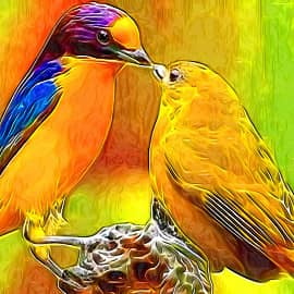 Птицы 0110 Жёлтая трясогузка