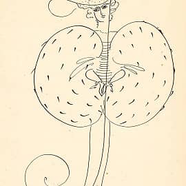 Буква Ф (из цикла "Красота русского алфавита")