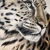 Леопард, художник Чернова Ольга