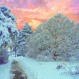 Дорожка в снегу.