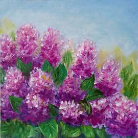 Куст сирени