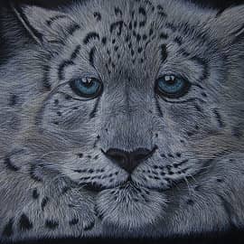 Снежный барс