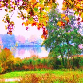 у осеннего озера