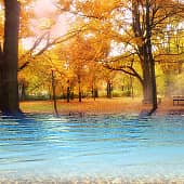 Осенний парк.