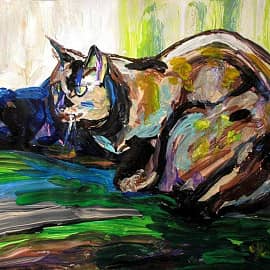 Пёстрый комок шерсти