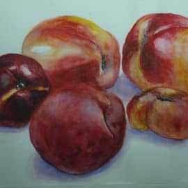 Любимые нектарины.