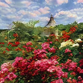 Цветущий сад.