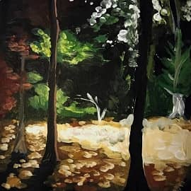 "Ночной просвет"