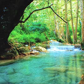 Лесной ручей.