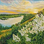 Белая сирень в Лебедянском районе Липецкой области.