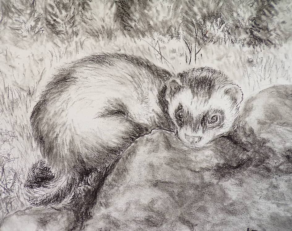 Эрни на природе