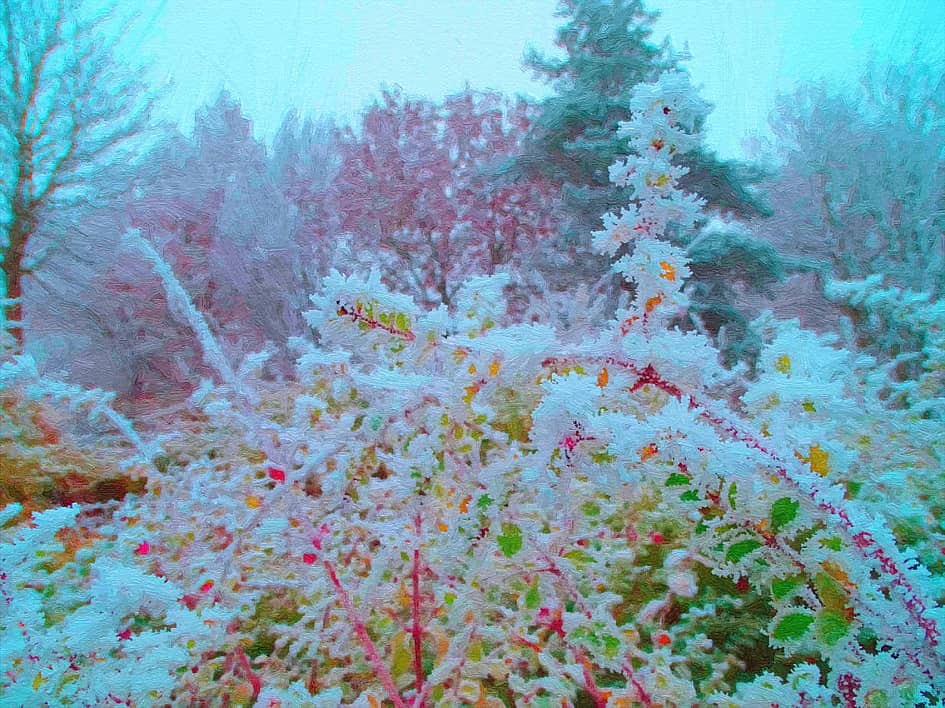 Зима подкралась.