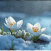 Зима напрасно злится..., художник Alex-08