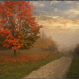 осенняя дорога