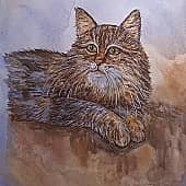 Пушистая кошка