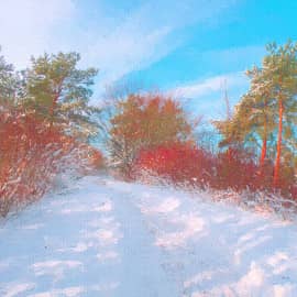 тени на снегу